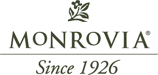 Monrovia
