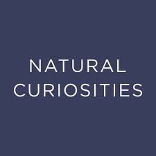 Natural Curiosities